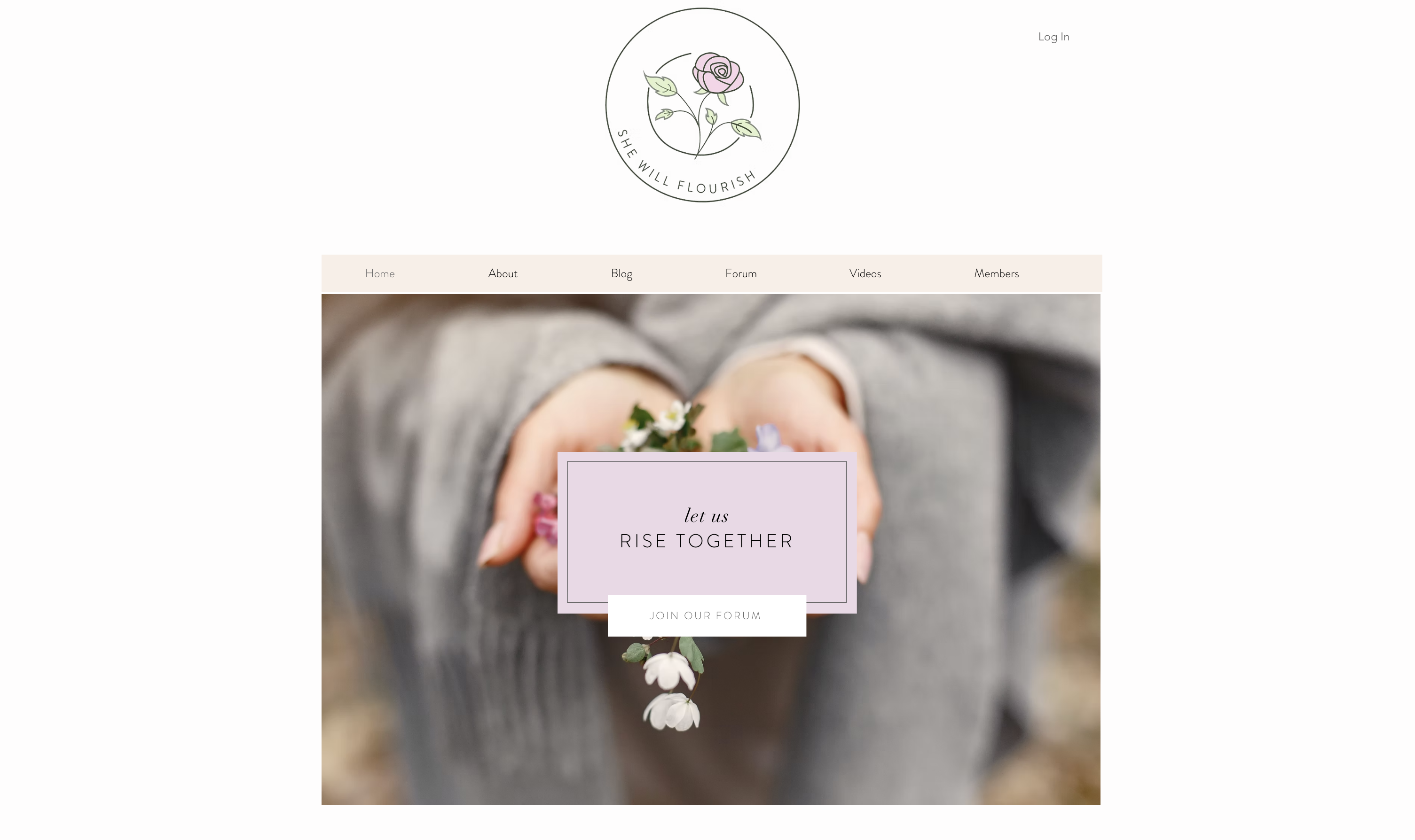 Website Design 1